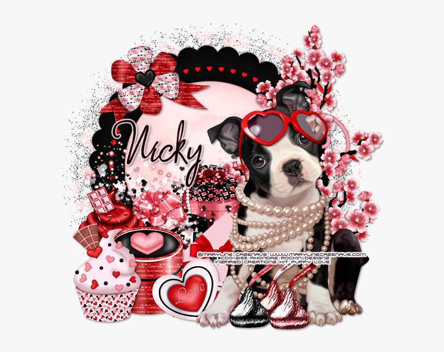 Boston Terrier, Transparent Clipart