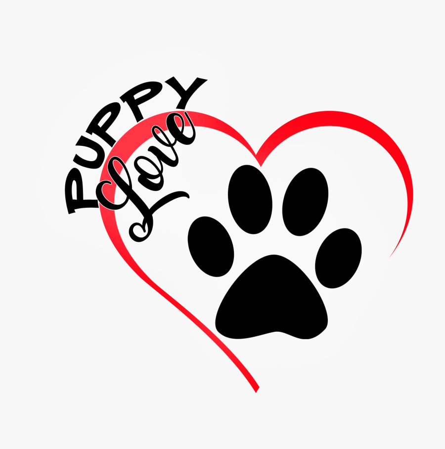 Western New England University, Transparent Clipart