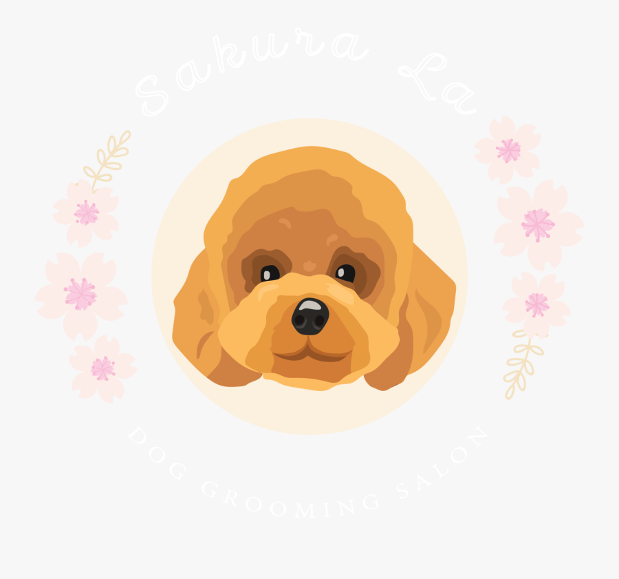 Toy Poodle, Transparent Clipart