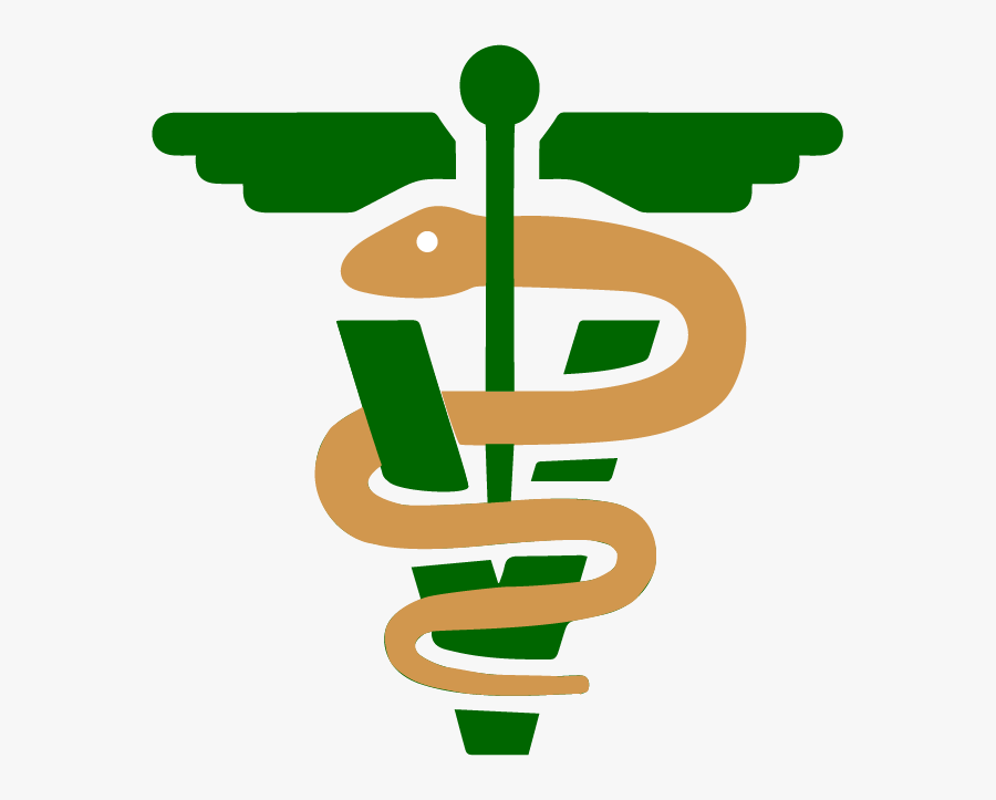 Image Of Veterinary Cadeusus - Vet Icon Png, Transparent Clipart