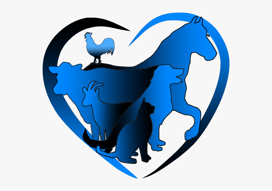 Transparent Hoof Clipart - Animal Care Clip Art, Transparent Clipart