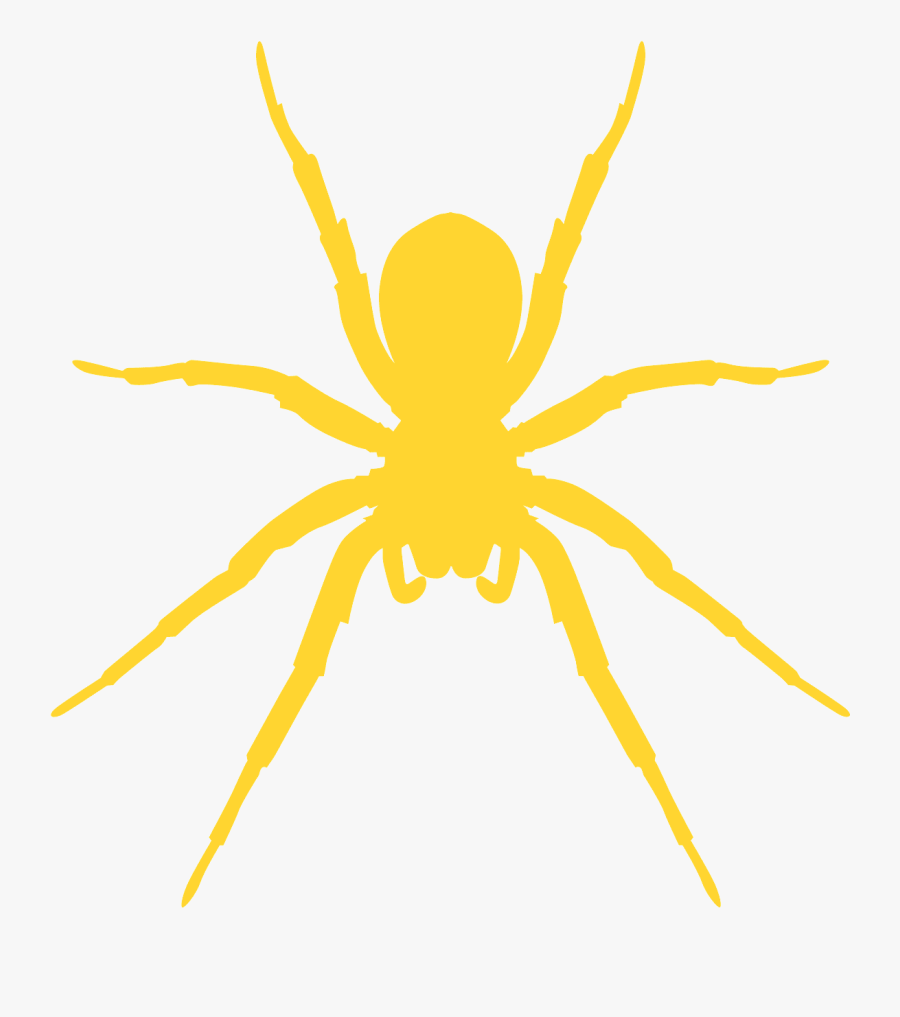 Spider Silhouette, Transparent Clipart