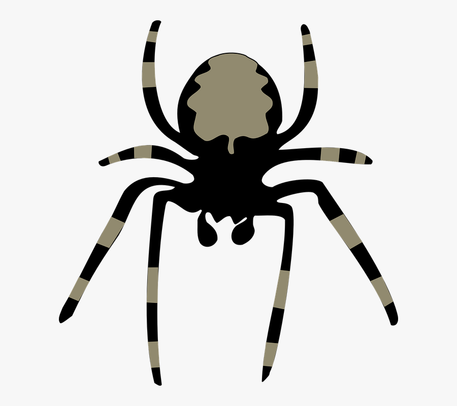 Spinne, Insekt, Arachnoid, Tier, Natur, Angst, Horror - Spider Clipart, Transparent Clipart