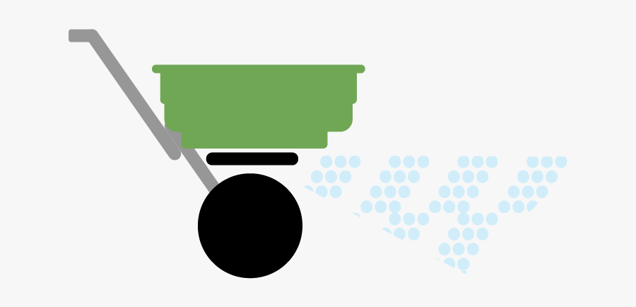 Circle, Transparent Clipart