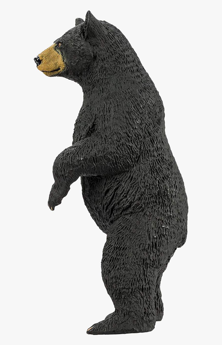 American Black Bear Png Photo - American Black Bear, Transparent Clipart