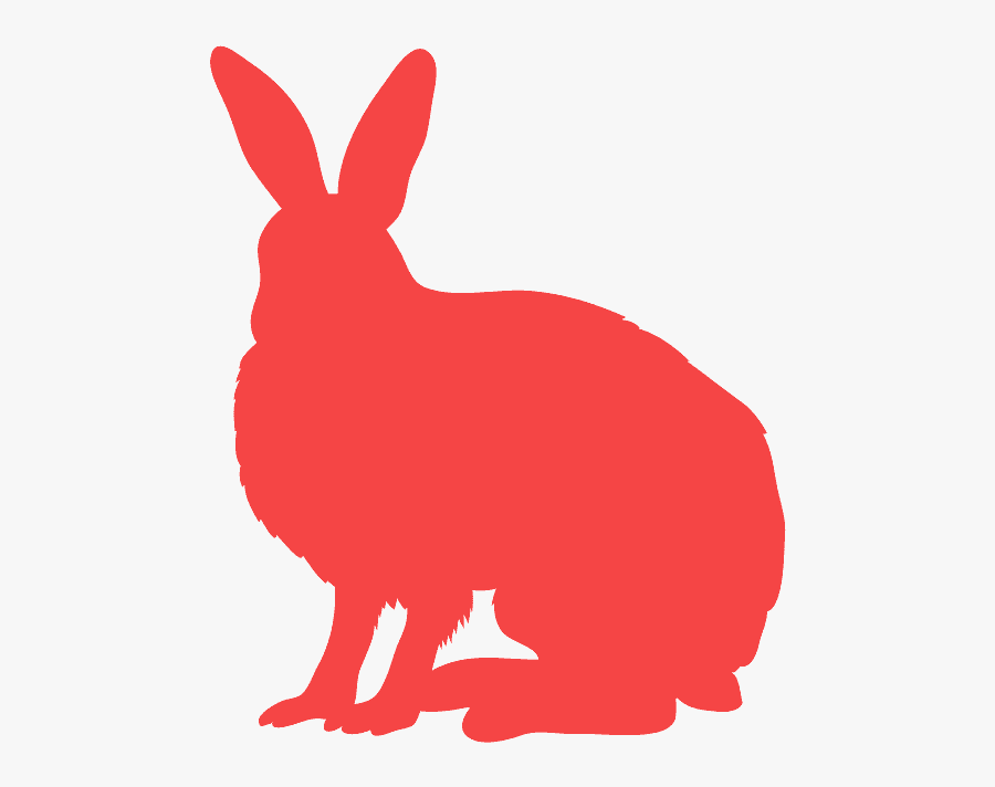 Arctic Hare Silhouette, Transparent Clipart