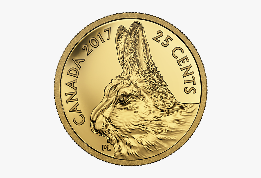 Predator Vs Prey Gold Coin, Transparent Clipart