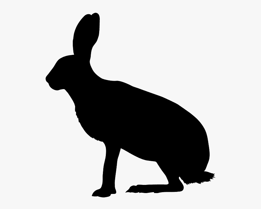 Arctic Hare Silhouette, Transparent Clipart
