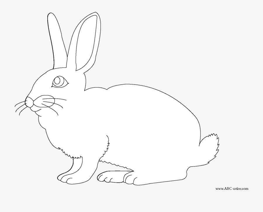 Rabbit Coloring - Domestic Rabbit, Transparent Clipart