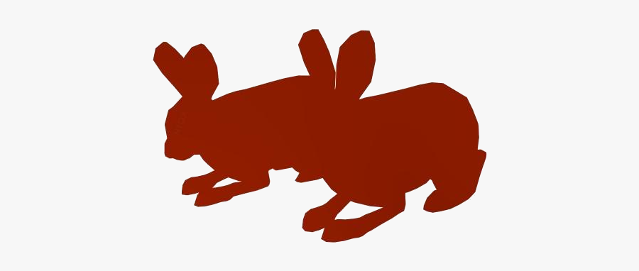 Transparent Arctic Hare Png Image - Rabbit, Transparent Clipart