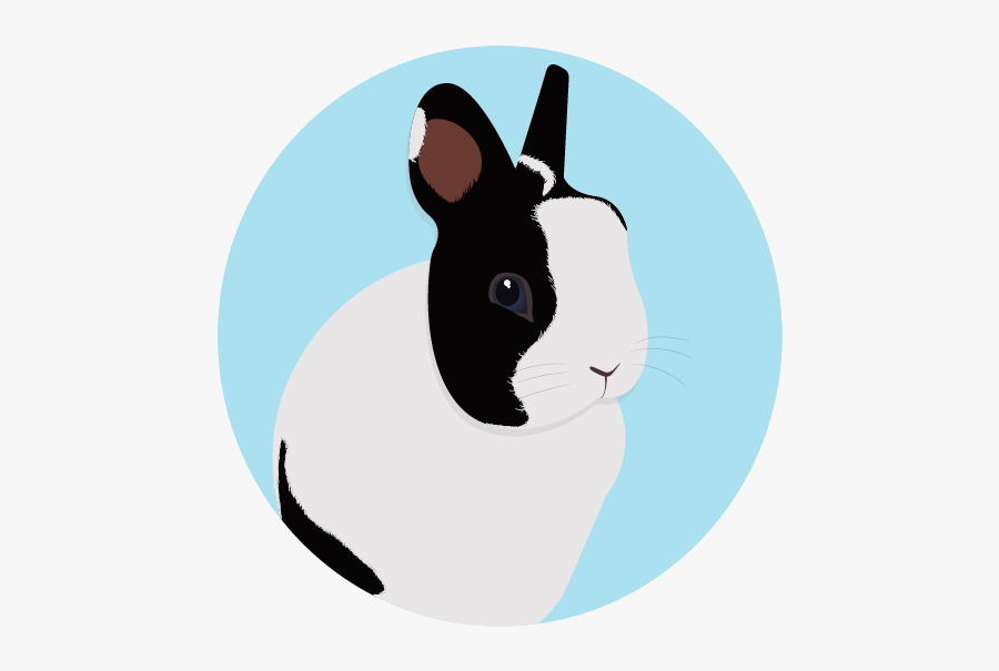 Domestic Rabbit, Transparent Clipart