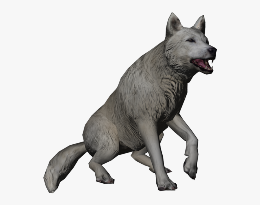 Arctic Wolf Transparent, Transparent Clipart
