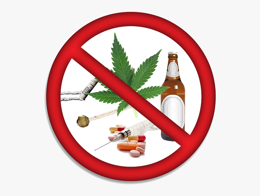 Drug Free Safe Workplace - Canola Oil For Hair Before And After, Transparent Clipart