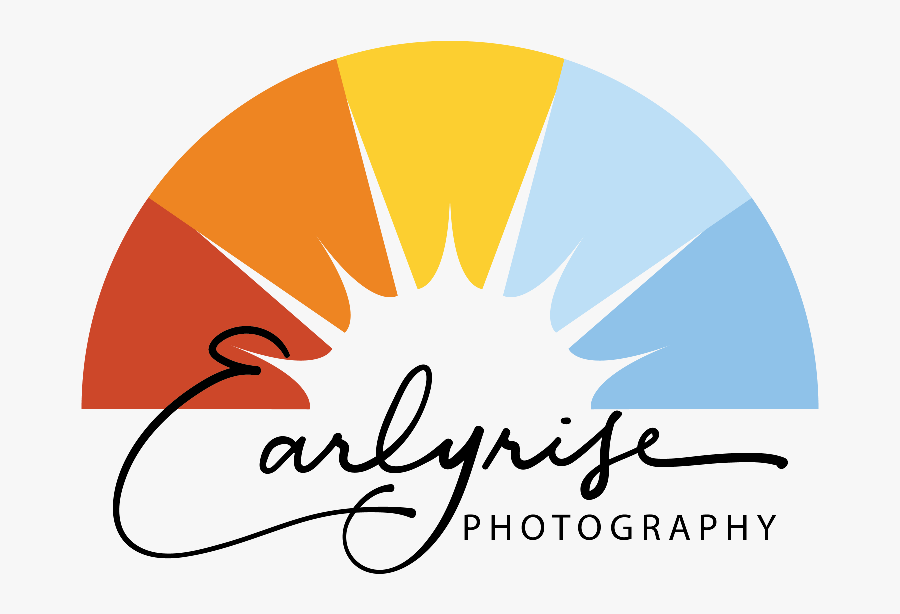 Circle, Transparent Clipart