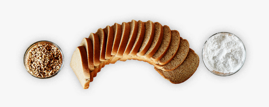 Cervelat, Transparent Clipart