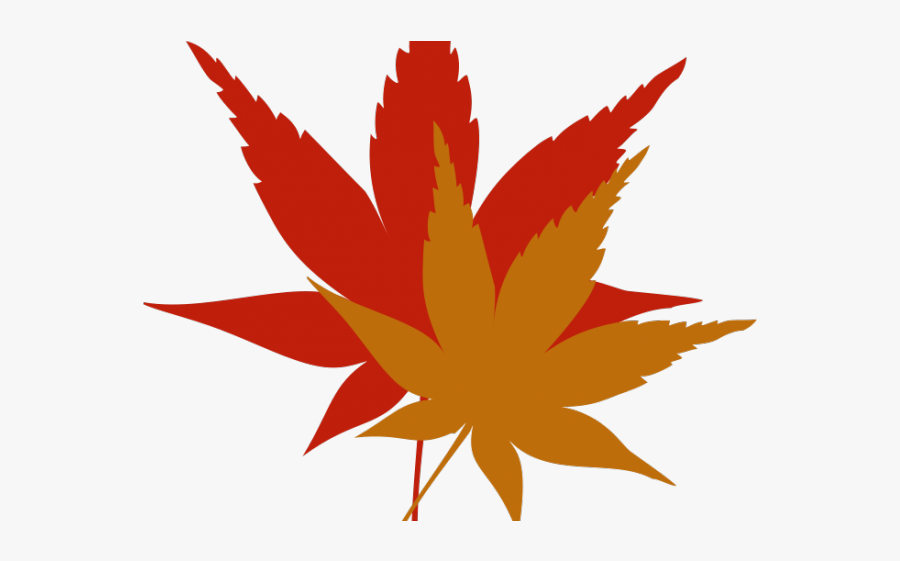 Japanese Clipart Drawing - Japanese Maple Leaf Clipart, Transparent Clipart