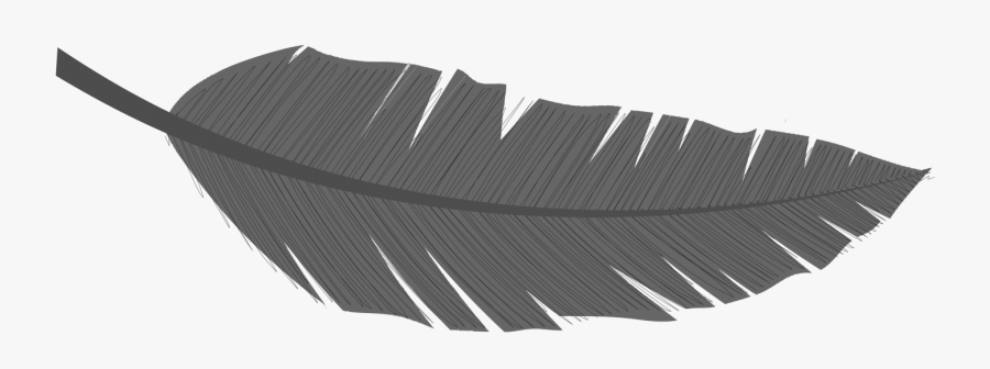 Wood, Transparent Clipart