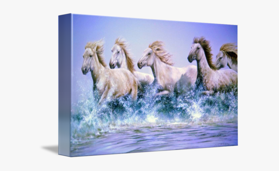 Clip Art Horses Running Wild - Running Horse In Water, Transparent Clipart