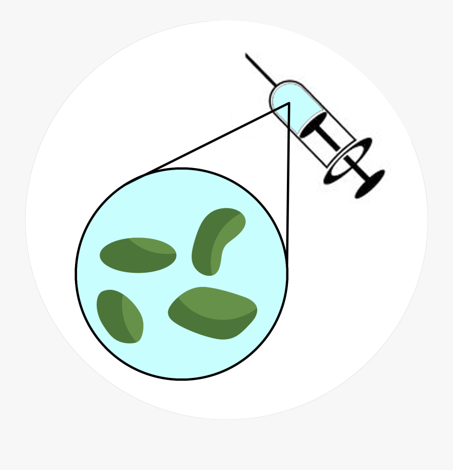 "i Took A Look At Your Blood Test Results Of Last Week - Circle, Transparent Clipart