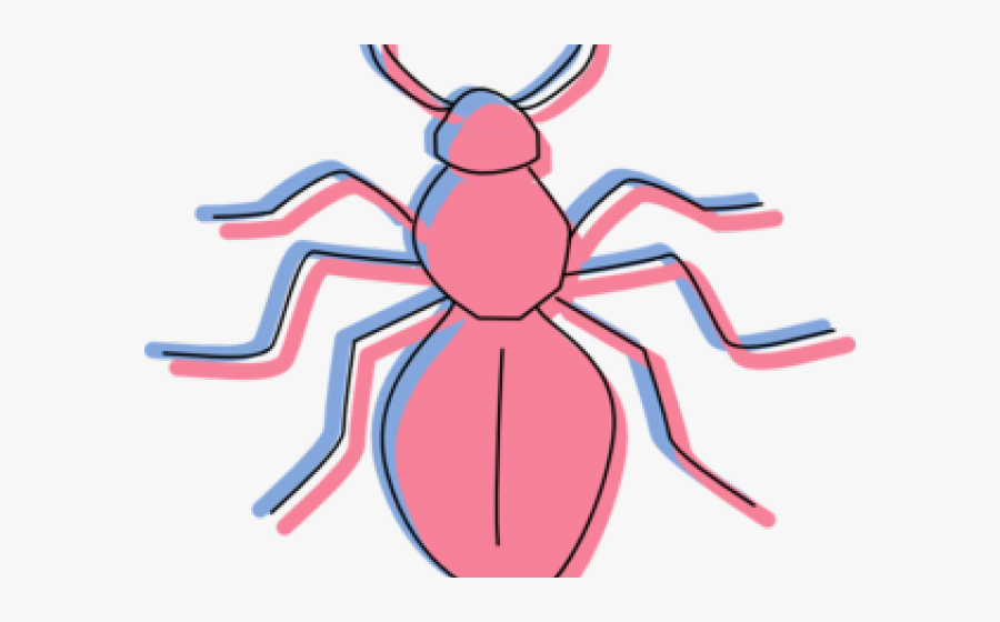 Ant, Transparent Clipart