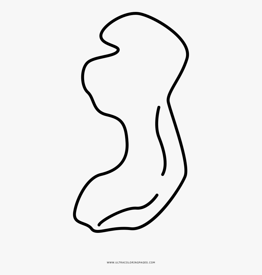 Fetus Coloring Page - Line Art, Transparent Clipart