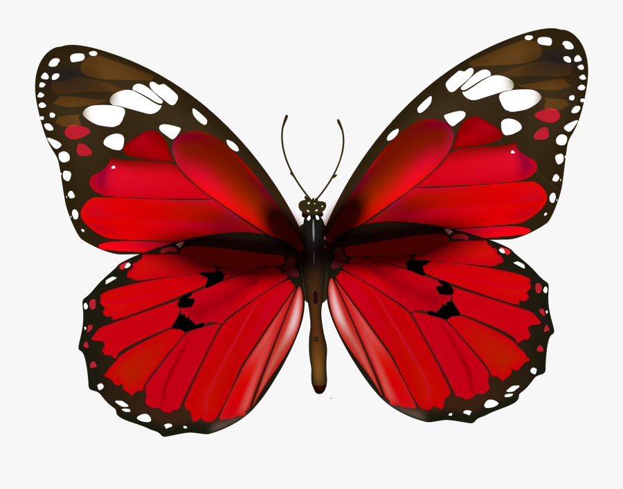 Sitting On The Front - Happy New Year Butterfly, Transparent Clipart