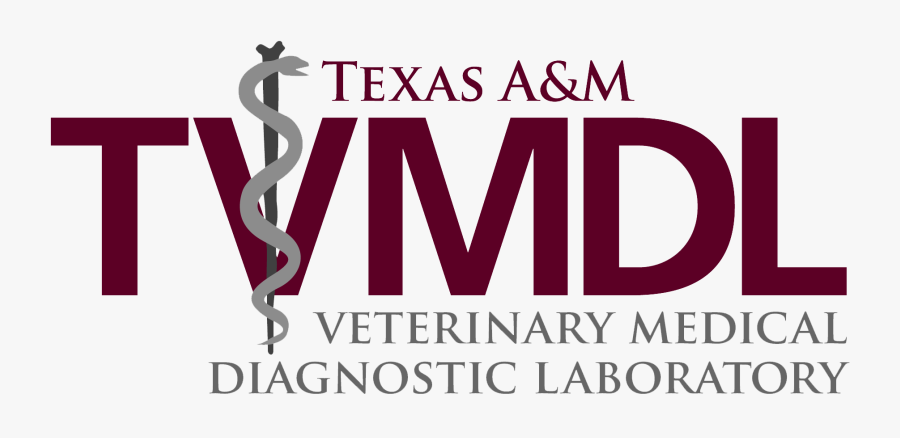 Texas A&m Agrilife Extension Service, Transparent Clipart