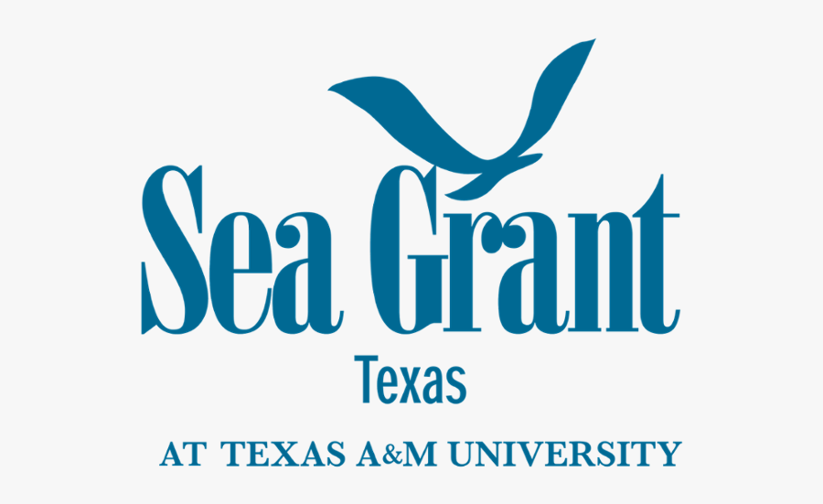 Texas Sea Grant Awards Research Funding To Seven Islander - Texas Sea Grant Logo, Transparent Clipart