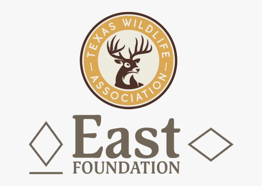 Label, Transparent Clipart