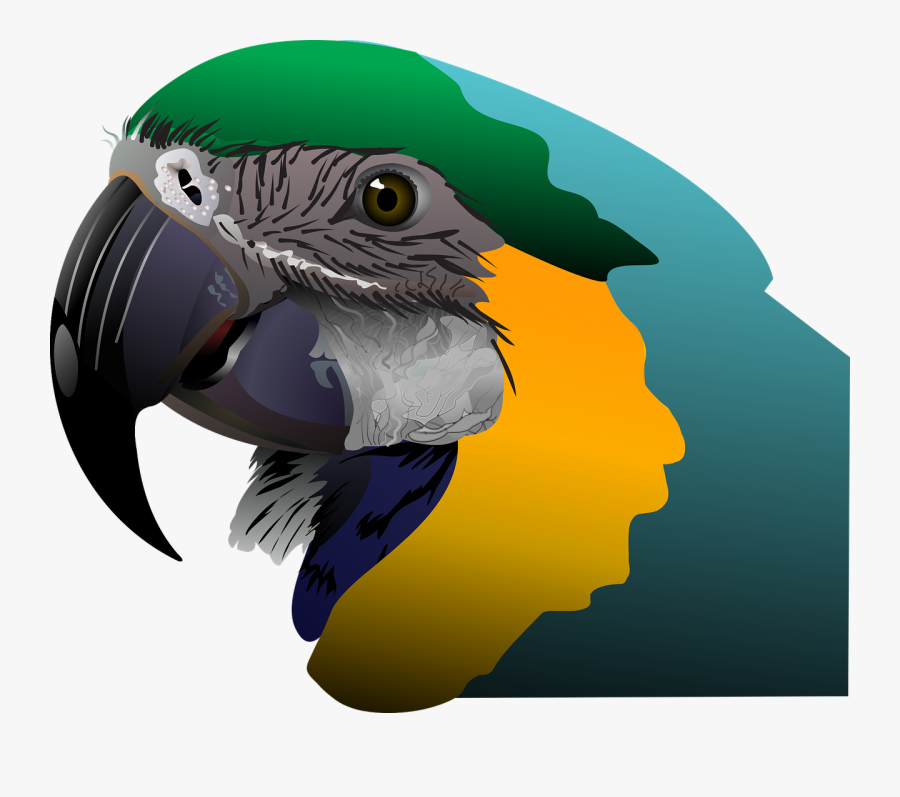 Олівцем Карандашом Квіти Як Малювати Картини, Transparent Clipart