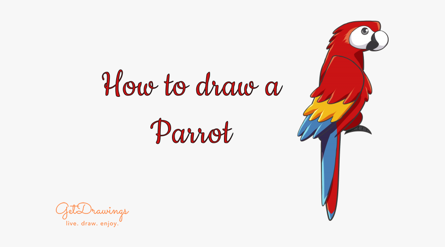 How To Draw A Parrot - Drawing, Transparent Clipart