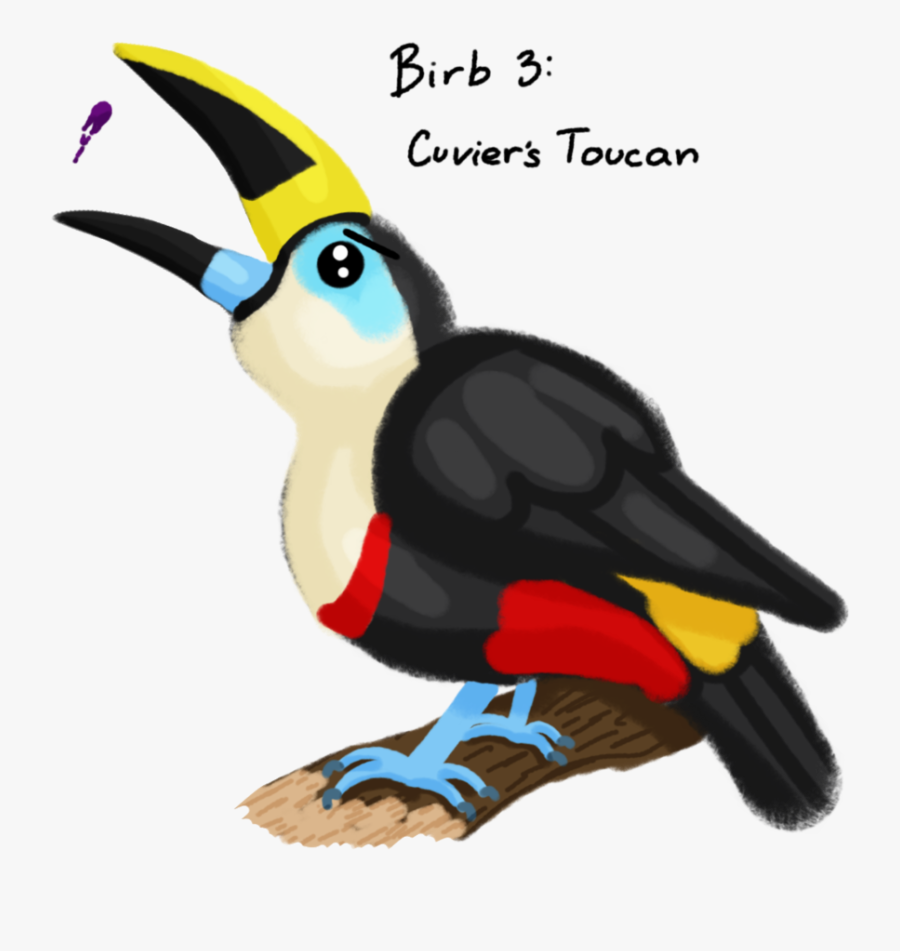 Transparent Toucan Clipart - Toucan, Transparent Clipart