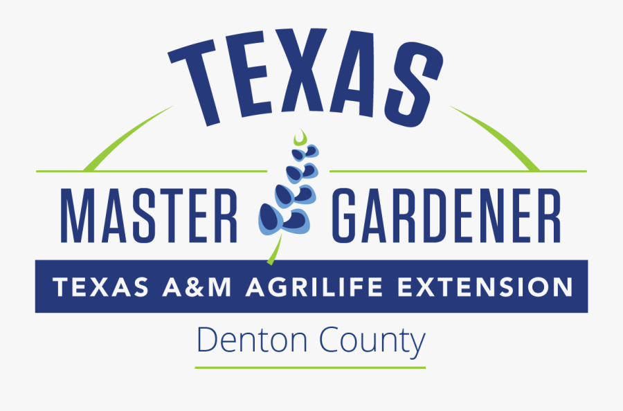 Dabster, Transparent Clipart