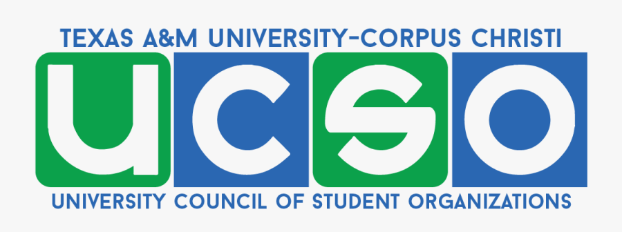 Circle, Transparent Clipart