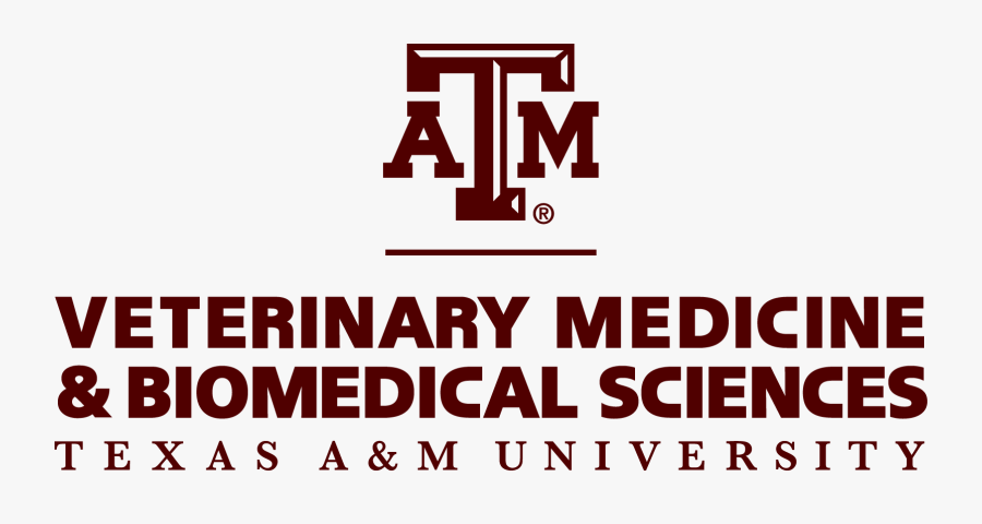 Texasam Vet School - Texas A&m Veterinary Logo, Transparent Clipart