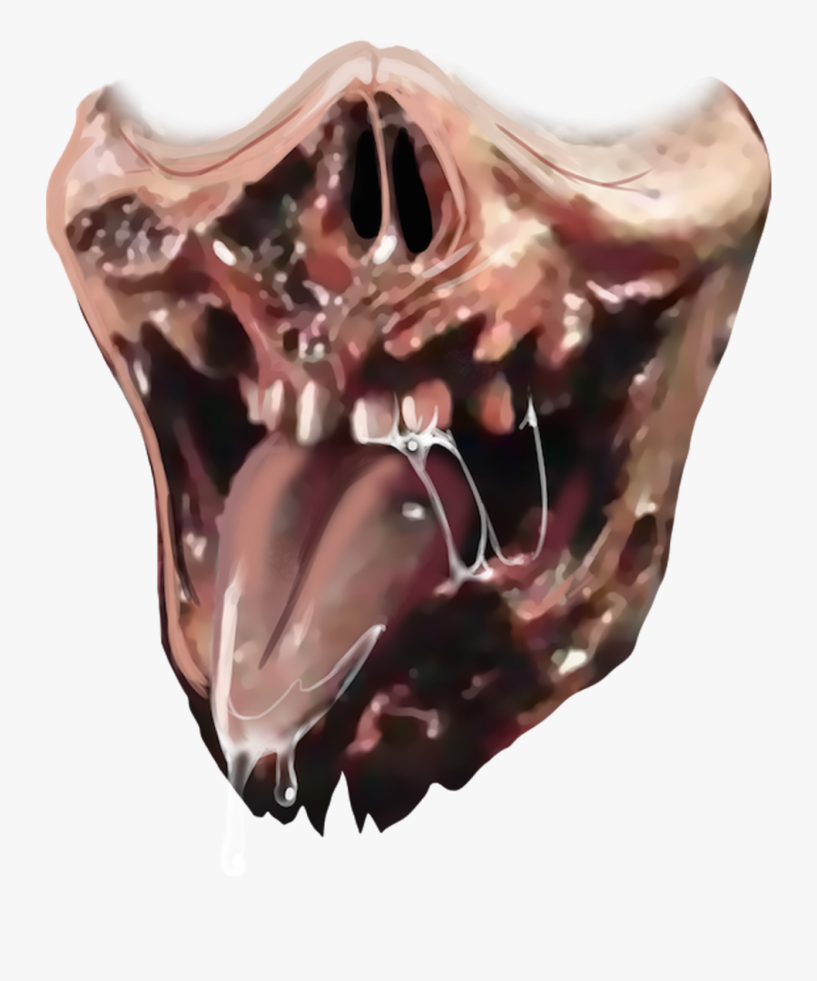 Skull, Transparent Clipart