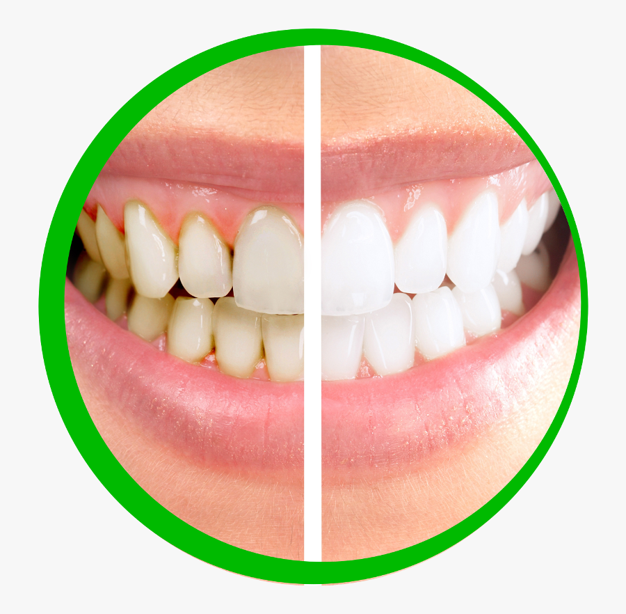 Dental Clinic Png, Transparent Clipart