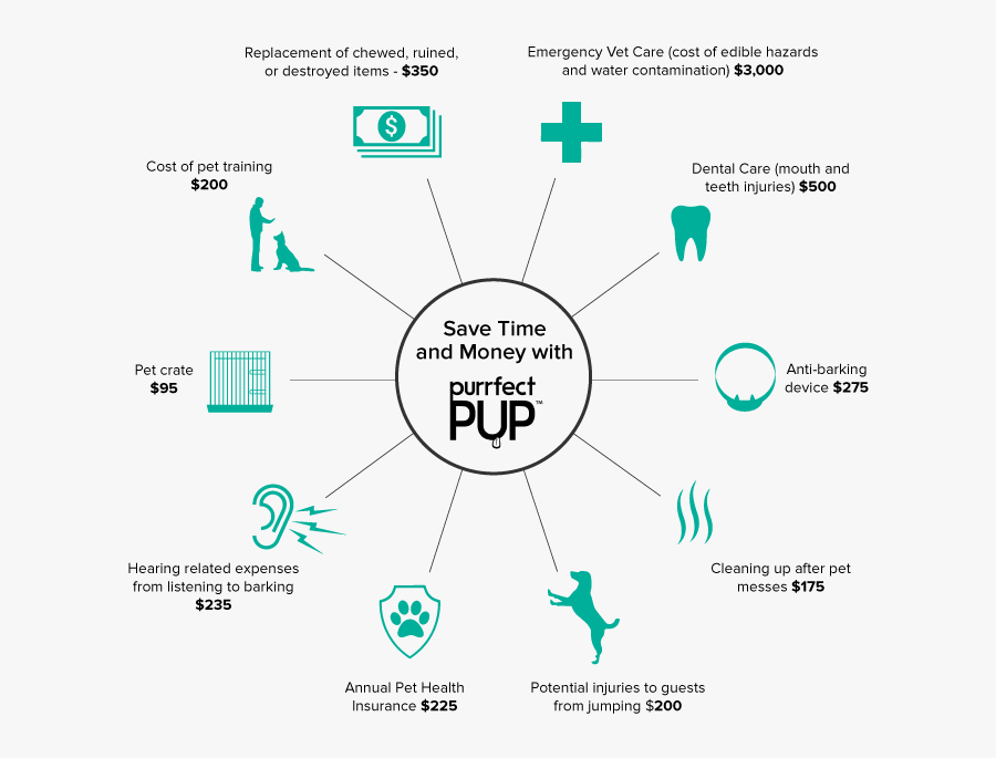 Dierenarts, Transparent Clipart