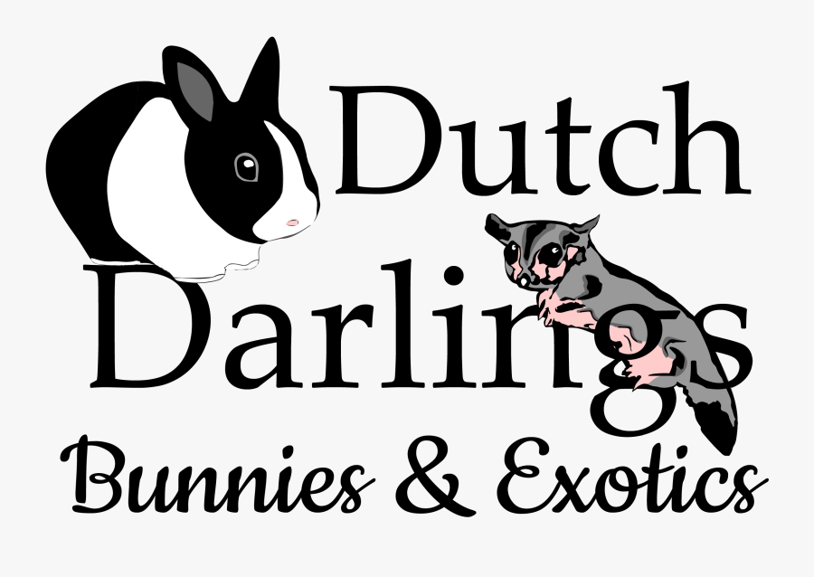 Dutch Darlings Bunnies & Exotics - Cartoon, Transparent Clipart