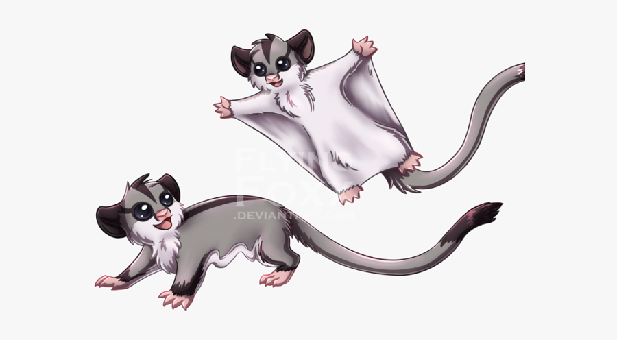Sugar Glider Clipart Possum - Sugar Glider Cartoon Png, Transparent Clipart