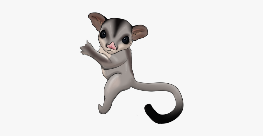 Sugar Glider Clipart, Transparent Clipart