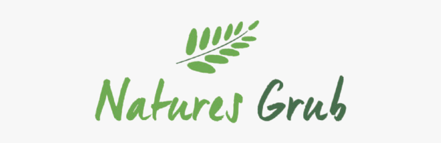 Graphics, Transparent Clipart