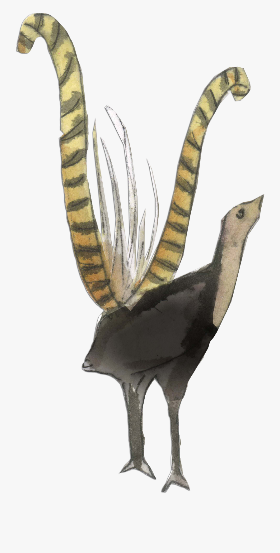 Turkey, Transparent Clipart