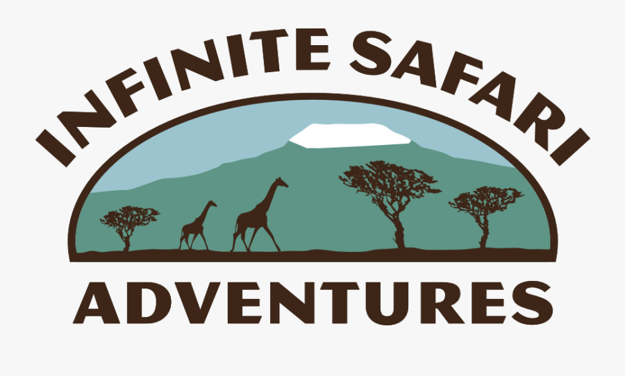 Meet A Cheetah - Giraffe, Transparent Clipart