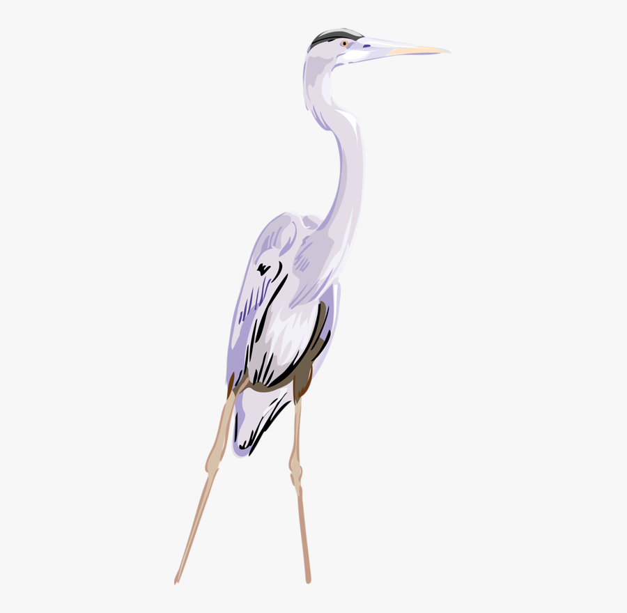 Clip Art Egret Clipart - Garça Branca Em Vetor Png, Transparent Clipart