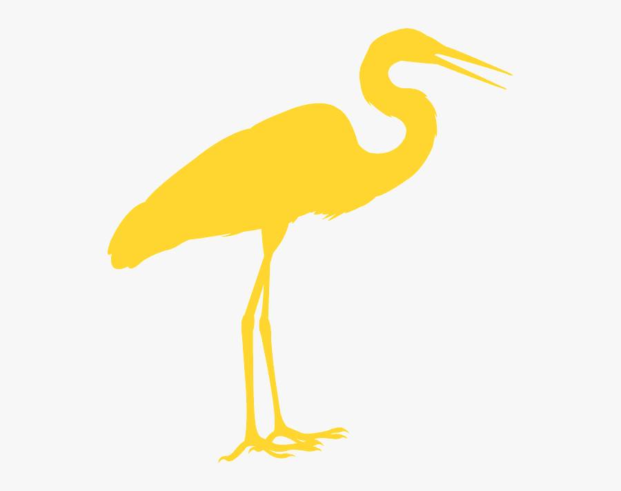 Water Bird, Transparent Clipart