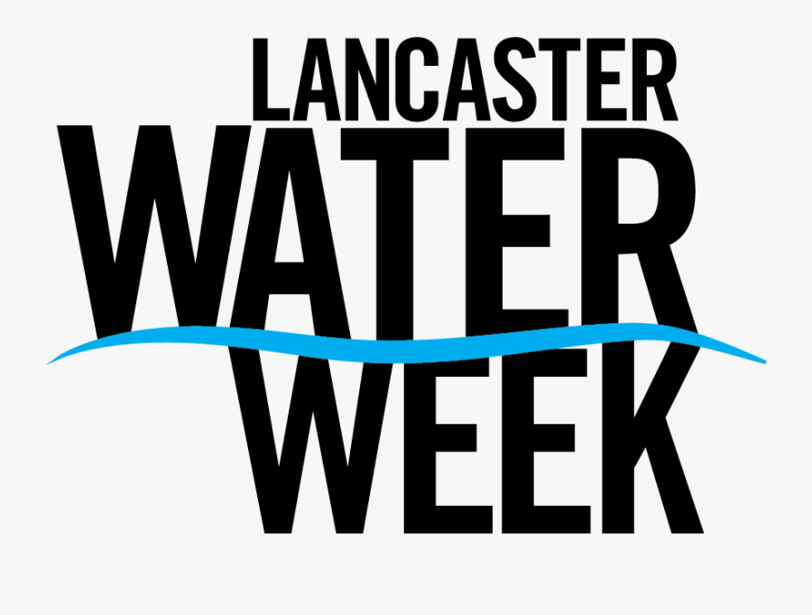 Amnesty International, Transparent Clipart