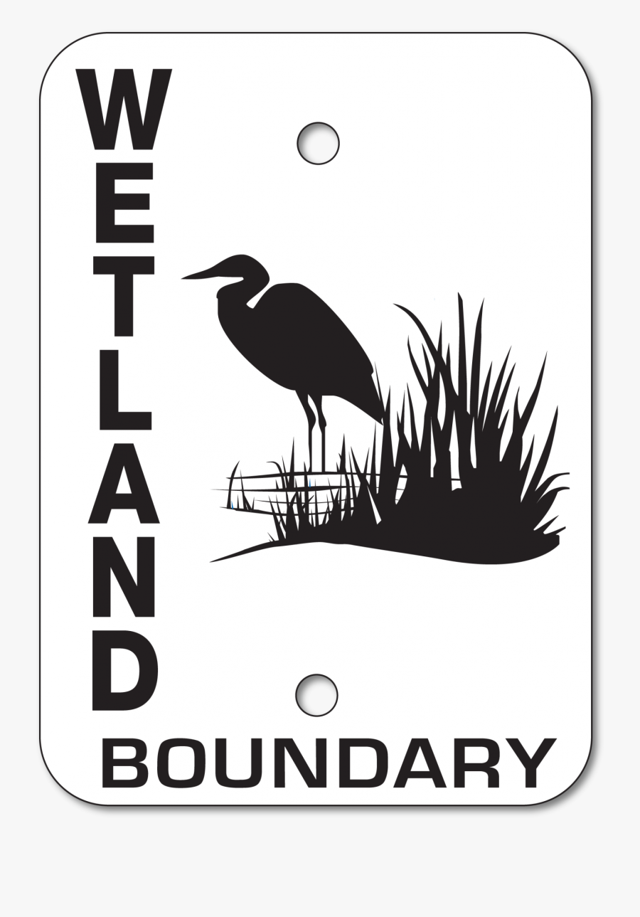 Great Blue Heron, Transparent Clipart