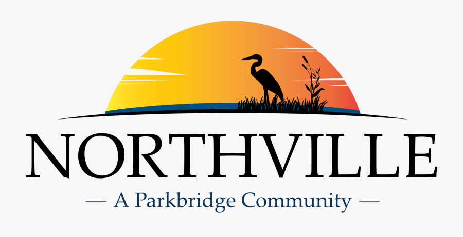 Great Blue Heron, Transparent Clipart