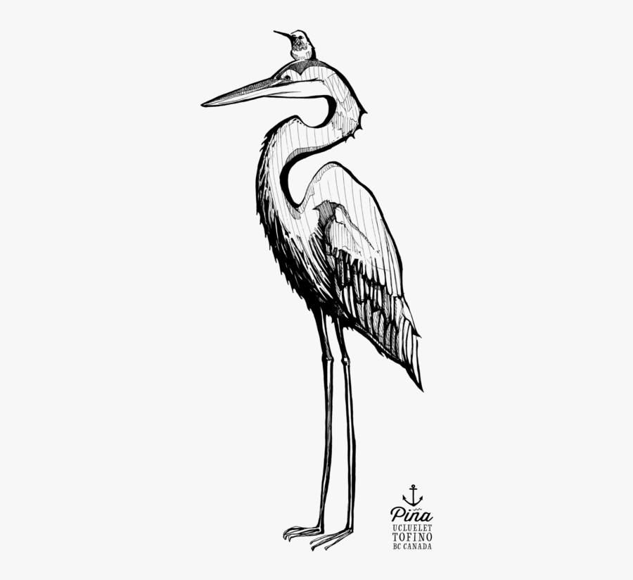 White Stork, Transparent Clipart